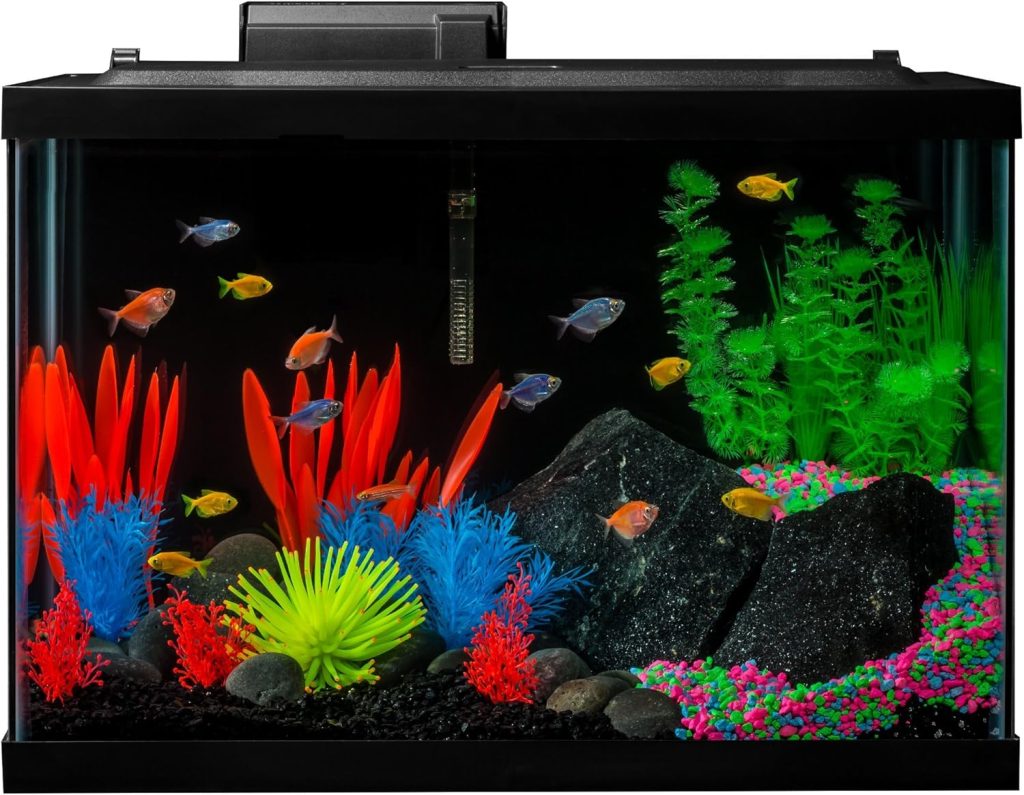 20 Gallon Aquarium Kit with LED Lights