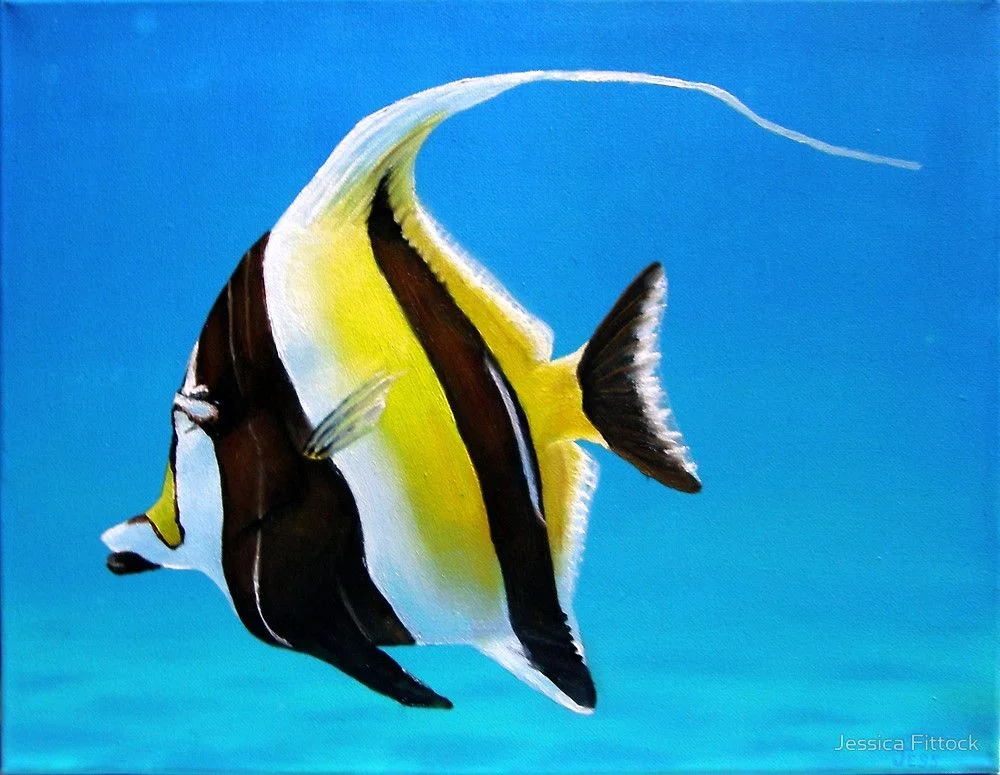 Moorish Idol